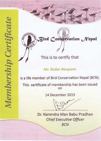 bird-conservation-nepal certificate