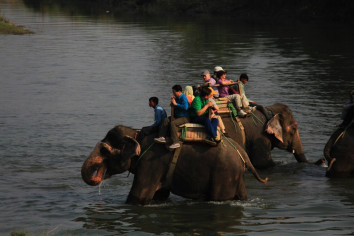 Kathmandu-Chitwan National Park- Pokhara and Nagarkot