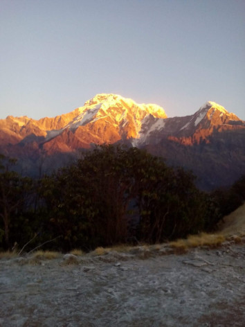mardi-himal-trek