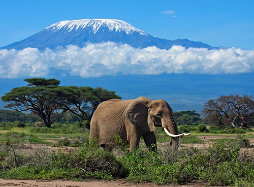 Top 7 Highest Mountains in Africa